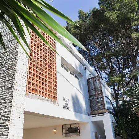 Saladar * Jávea